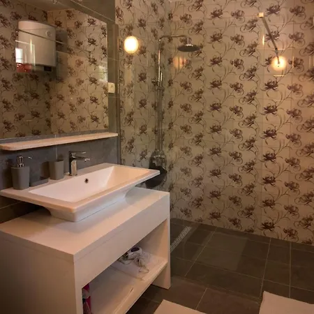 Apartment Roza Ston