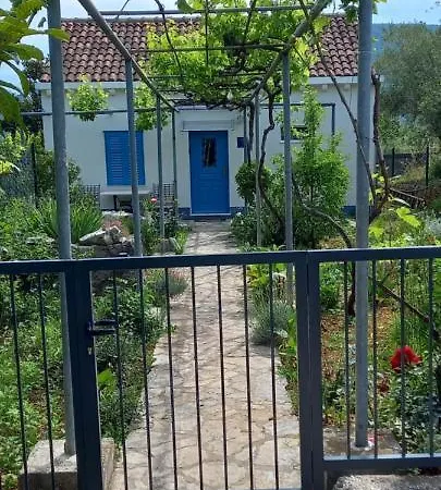 Roza Apartment